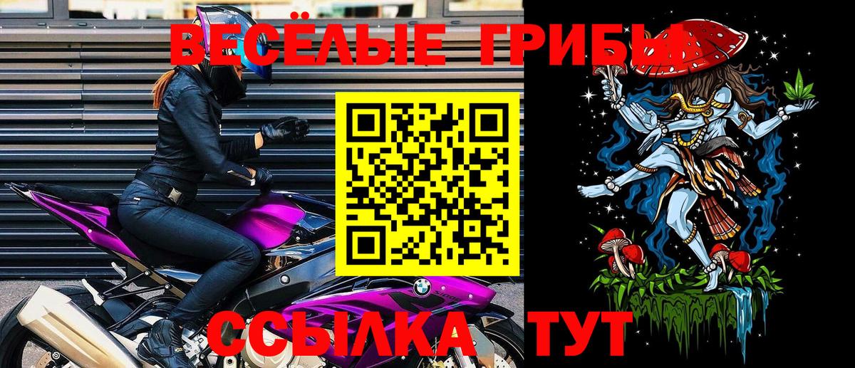 Галлюциногенные грибы мухоморы  Вход с VPN  Каменка  Псилоцибиновые грибы Cubensis 